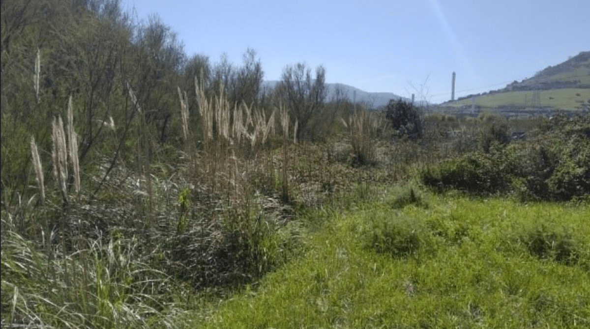 En las técnicas utilizadas para esta actuación no se han empleado productos químicos