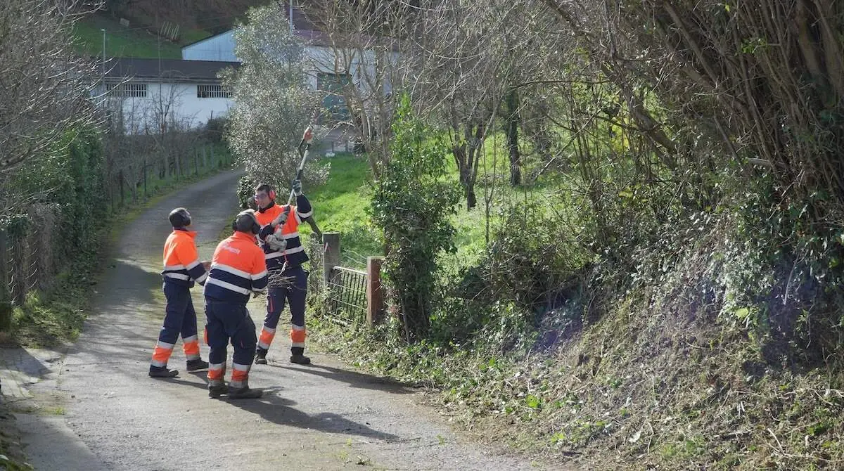 talleres-gallarreta-limpieza-montes-zonas-verdes-muskiz