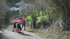 talleres-gallarreta-limpieza-montes-zonas-verdes-muskiz