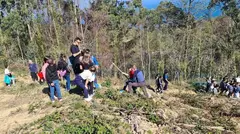 reforestacion-mello-2026