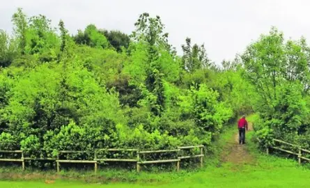 Se pretende dotar a los vecinos de un nuevo enclave natural
