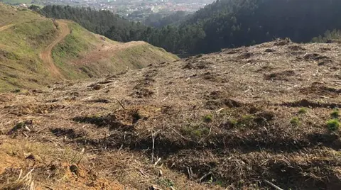 Con este proyecto, que 
cuenta con la colaboración de la Diputación, se plantarán 5.500 árboles
