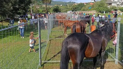 41-feria-agricola-ganadera-muskiz-