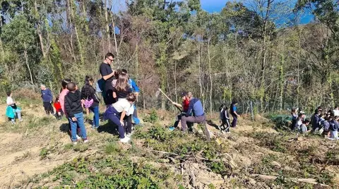 reforestacion-mello-2026