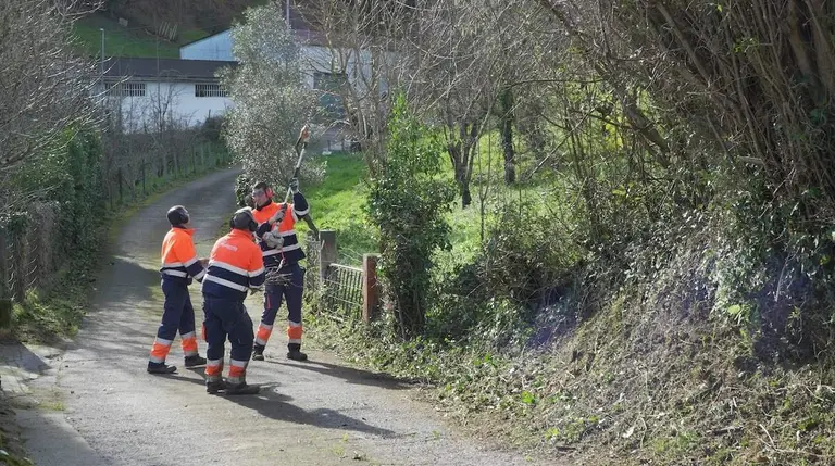 talleres-gallarreta-limpieza-montes-zonas-verdes-muskiz