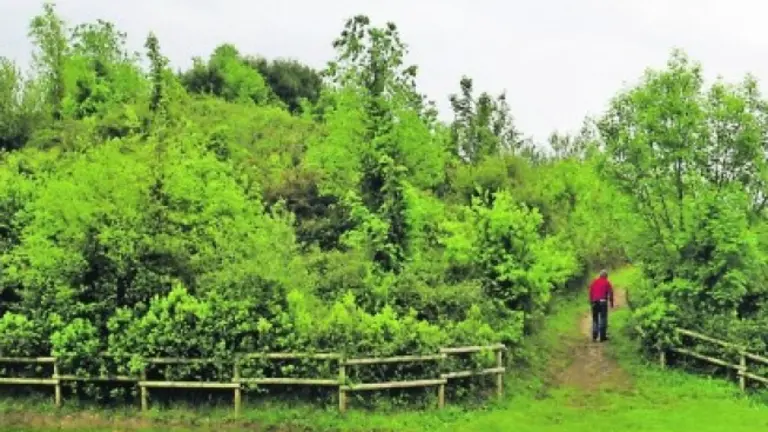 Se pretende dotar a los vecinos de un nuevo enclave natural