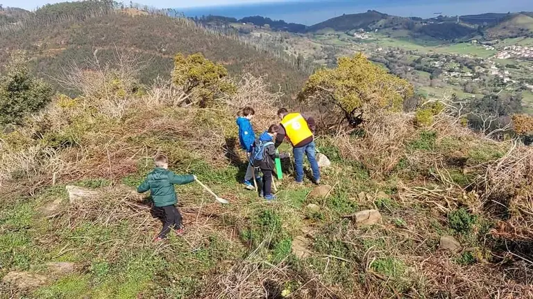 plantaci&oacute;n &aacute;rboles muskiz