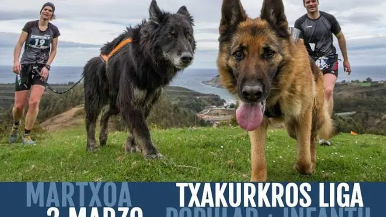 Tendr&aacute; salida en el barrio de Las Acacias