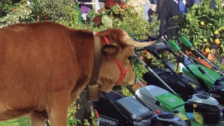 Ser&aacute; este pr&oacute;ximo domingo 15 de septiembre