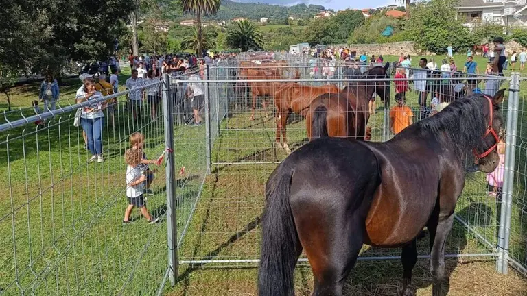 feria-agricola-ganadera-muskiz