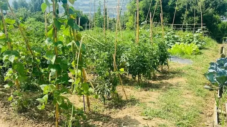 huertos-urbanos-muskiz