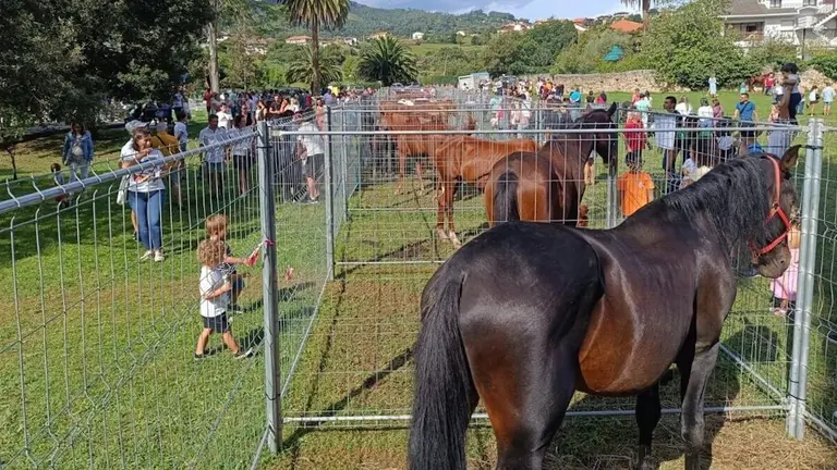 41-feria-agricola-ganadera-muskiz-
