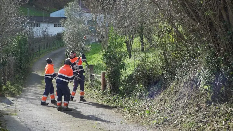 talleres-gallarreta-limpieza-montes-zonas-verdes-muskiz