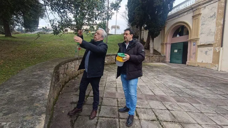 muskiz-avispa-asiatica