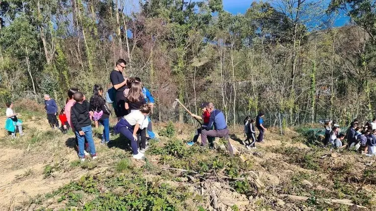 reforestacion-mello-2026